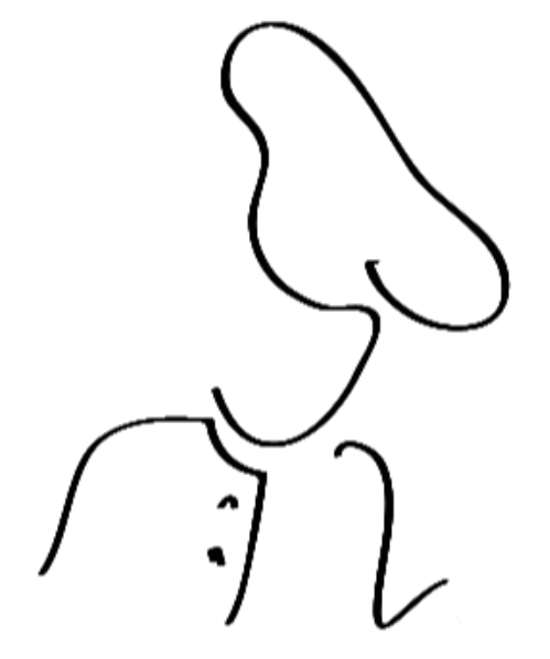 Nom de l'entreprise